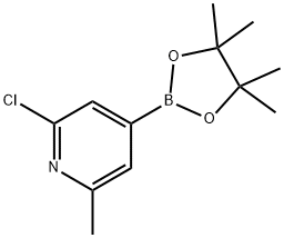 2-氯-6-甲基吡啶-4-硼酸频哪醇酯