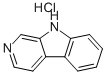 NORHARMANE HYDROCHLORIDE Structure