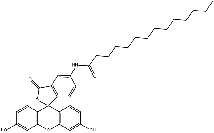 5-(TETRADECANOYLAMINO)FLUORESCEIN, FOR FLUORESCENCE* Structure