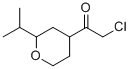 Ethanone, 2-chloro-1-[tetrahydro-2-(1-methylethyl)-2H-pyran-4-yl]- (9CI) Structure