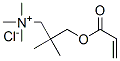 2,2-dimethyl-3-[(1-oxoallyl)oxy]propyltrimethylammonium chloride Structure