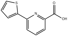 6-thien-2-ylpyridine-2-carboxylic acid Structure