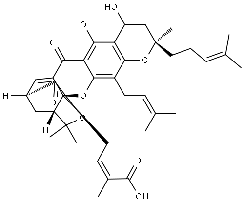 neo-gambogic acid Structure