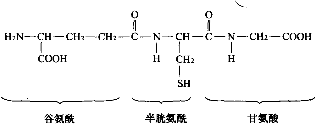 谷胱甘肽(GSH)的化学结构式