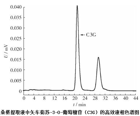桑椹提取液中矢车菊素-3-O-葡萄糖苷(C3G)的高效液相色谱图