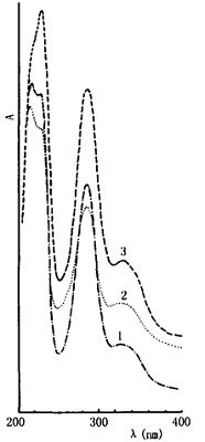 不同产地枳实的紫外光谱图