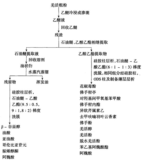 羌活石油醚、乙酸乙酯提取部分化学成分的分离鉴定