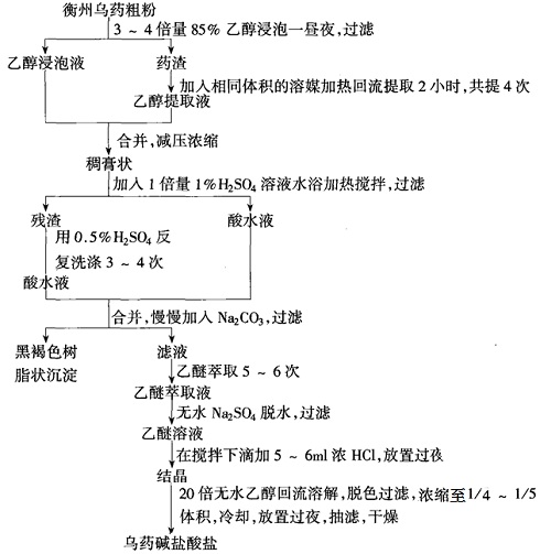 乌药中乌药碱的提取分离