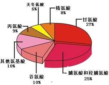 胶原蛋白的成分组成