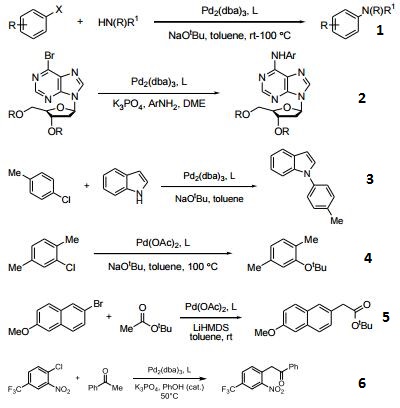 Reactions of 213697-53-1_1