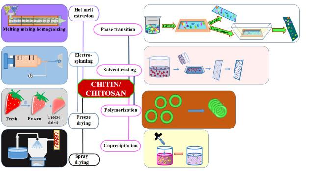 Article illustration