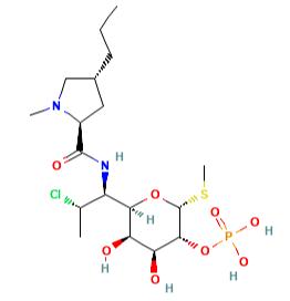 Article illustration