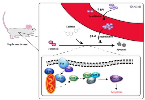 Article illustration