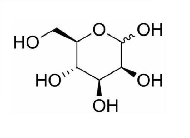 1.jpg Article illustration