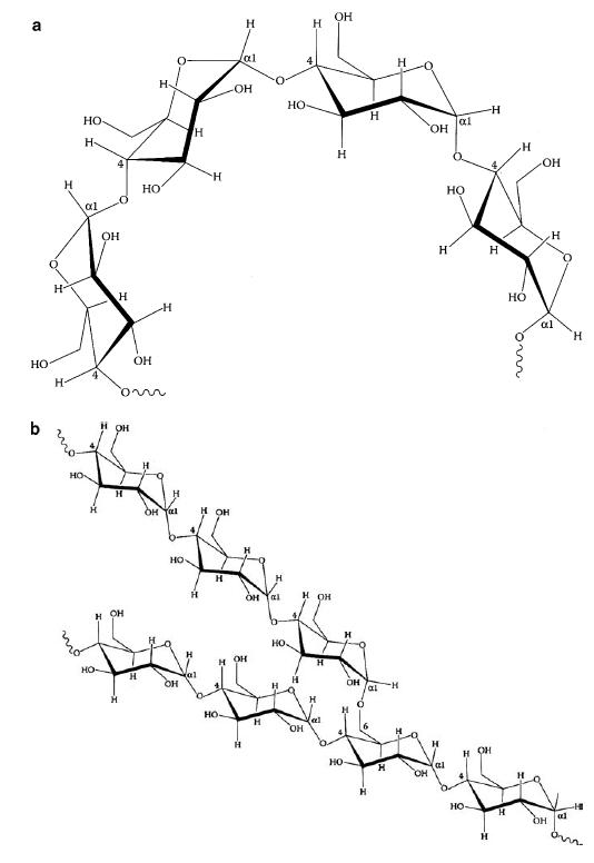 Fig. 2.1.png Article illustration