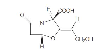 58001-44-8 Clavulanic acidAntimicrobial ActivitySusceptibilityAdministrationDosageClinical Uses