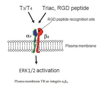 2.jpg Article illustration