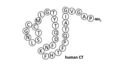 1.jpg Article illustration