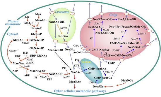 Article illustration