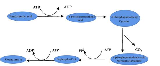 Article illustration