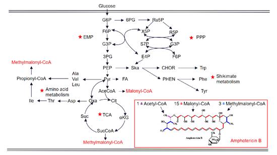 Article illustration