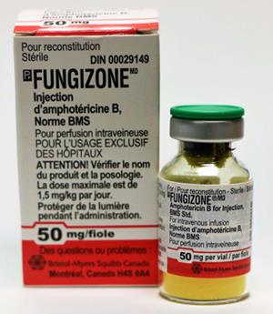 Article illustration