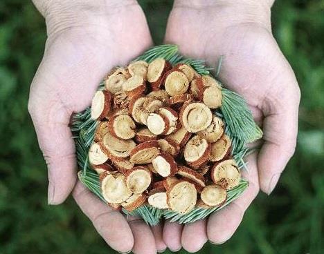 什么是光甘草定？