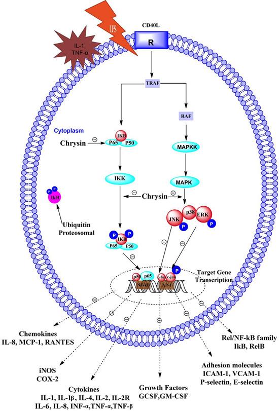 Article illustration