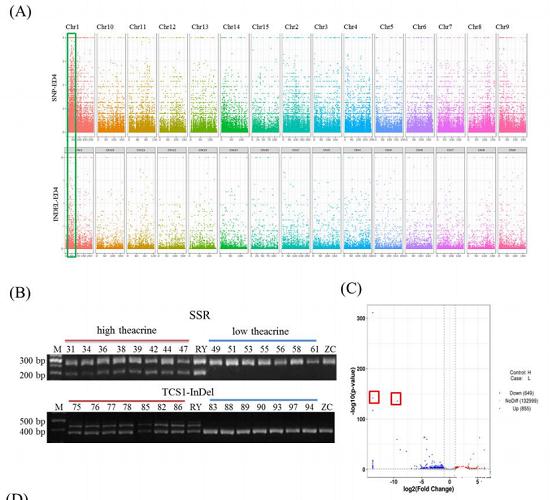 AllImg_2.jpg AllImg_2.jpg