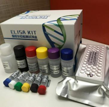 大鼠肉毒碱脂酰转移酶(CACT)ELISA试剂盒的应用