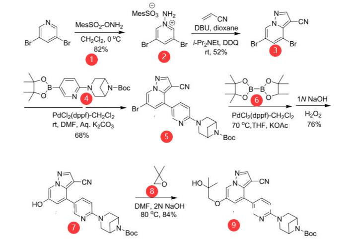 Figure 2 Preparation of Selpercatinib.png Article illustration