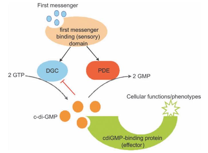 Article illustration