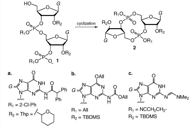 Article illustration