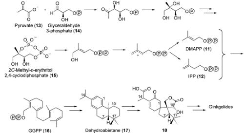 Article illustration