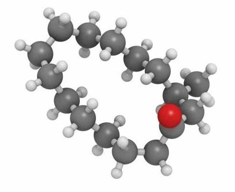 Muscone.jpg Muscone.jpg