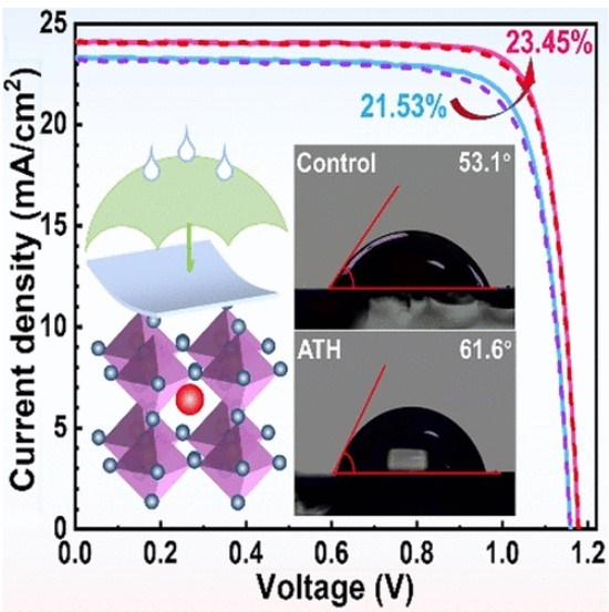 1-Adamantanamine hydrochloride Article illustration