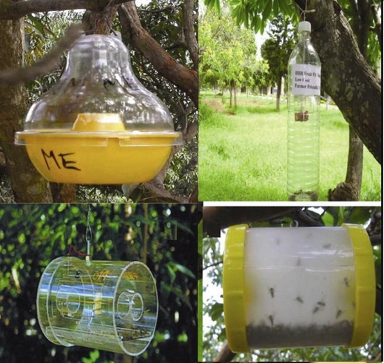 100-09-4 Application; isomer; anise; cosmetics; skin care; photographic chemicals; dye intermediate; flavorin