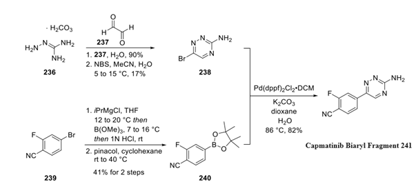 Capmatinib Biaryl Fragment synthesis Article illustration
