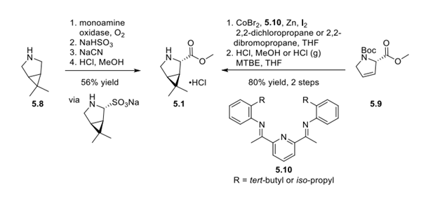 Two Approaches to Bicyclic Pyrrolidine 5.1 Article illustration