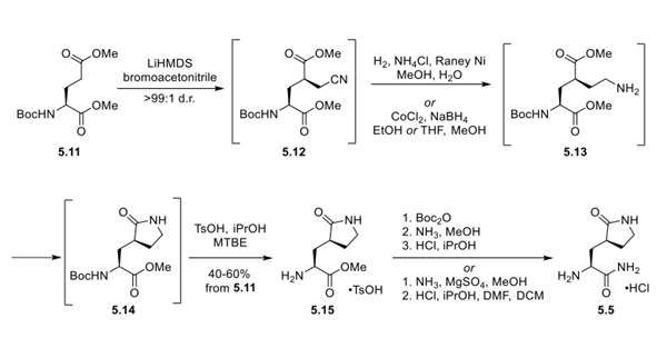 Synthetic Route to Aminolactam 5.5 Article illustration