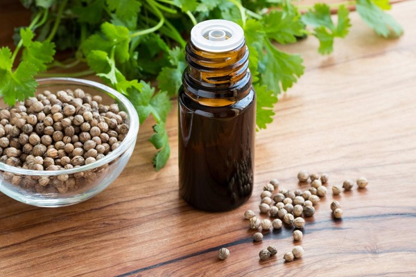 CORIANDER OIL.jpg CORIANDER OIL.jpg