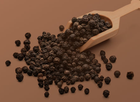 QQ截图20240320142245.png QQ截图20240320142245.png