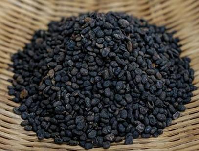 补骨脂提取物的性状图 补骨脂提取物的性状图