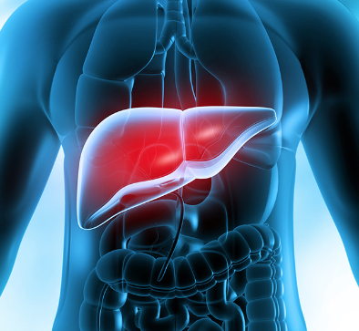 68373-14-8 SulbactamAntimicrobial ActivitySusceptibilityAdministrationDosageClinical Uses