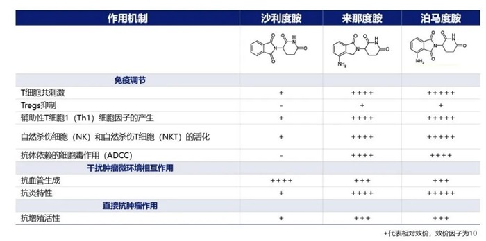 表1 IMiDs的主要作用机制总结 表1 IMiDs的主要作用机制总结