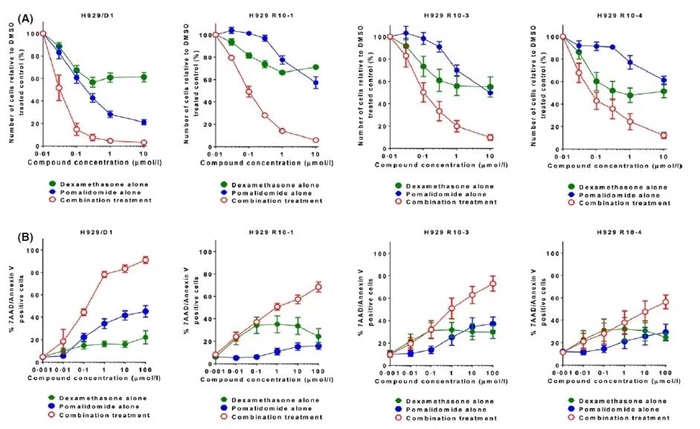 图3 来那度胺敏感和耐药的MM细胞中,泊马度胺与地塞米松联合给药对细胞增殖具有协同效应 图3 来那度胺敏感和耐药的MM细胞中,泊马度胺与地塞米松联合给药对细胞增殖具有协同效应
