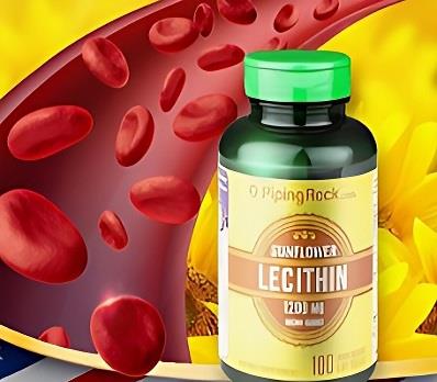 葵花卵磷脂的成品 葵花卵磷脂的成品