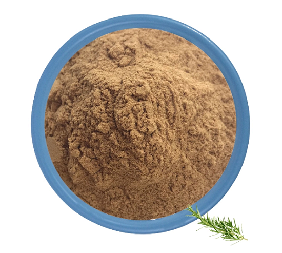 绿原酸是什么？有什么作用功效？