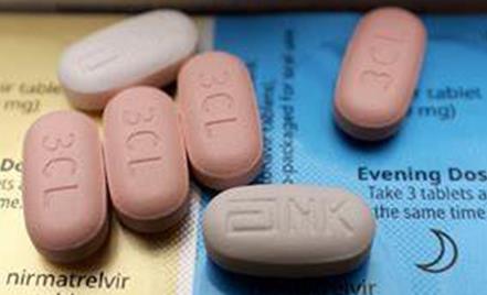 PAXLOVID的性状图 PAXLOVID的性状图