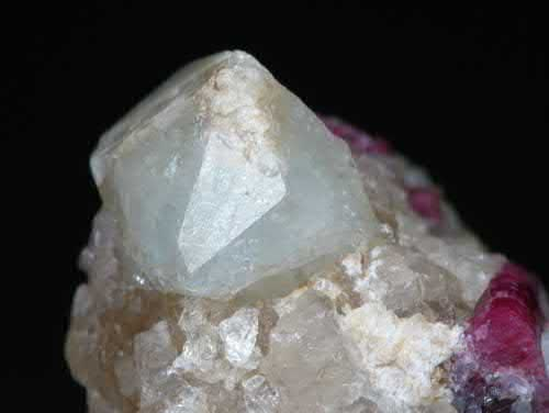 Article illustration